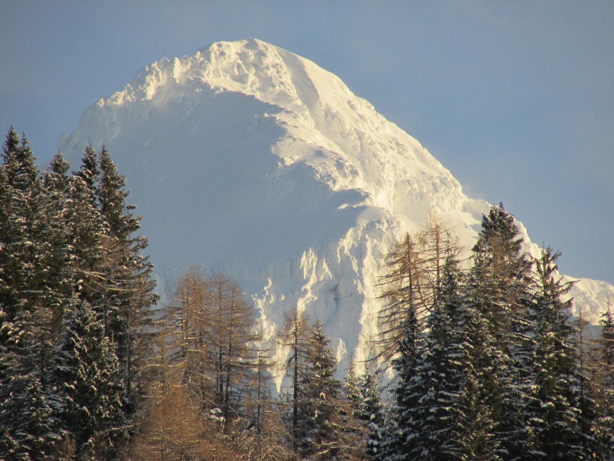 Camping & Glamping Jezersko Ex Cvet Gora Zgornje Jezersko Exterior foto